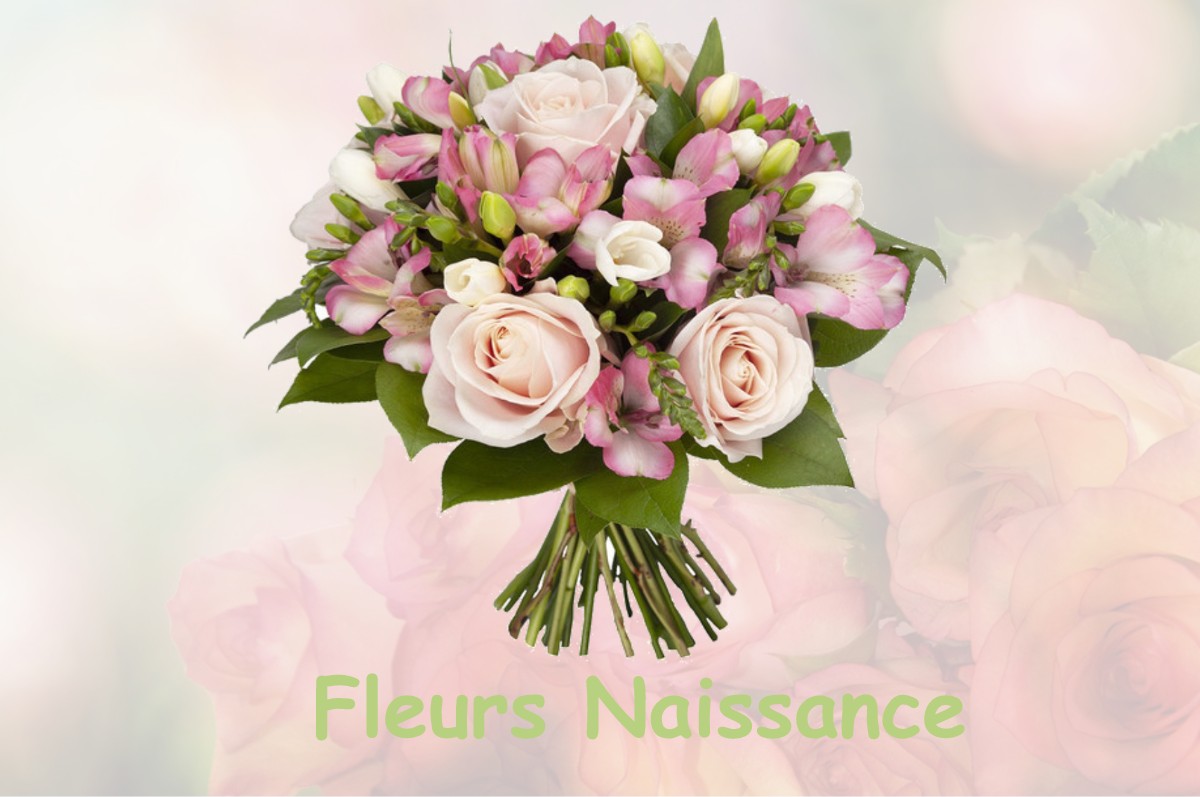fleurs naissance HAUT-DE-BOSDARROS